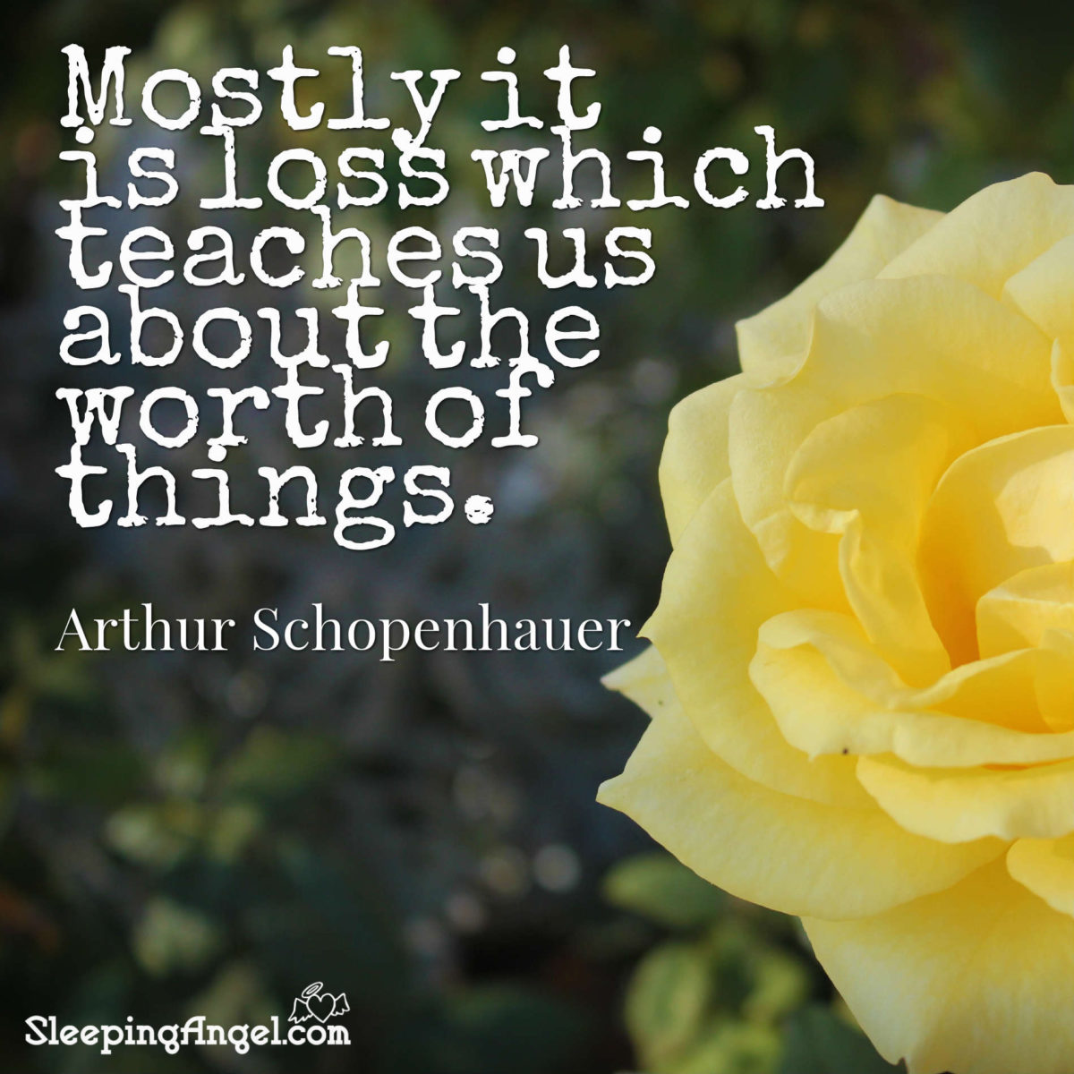 Loss Quote – Sleeping Angel