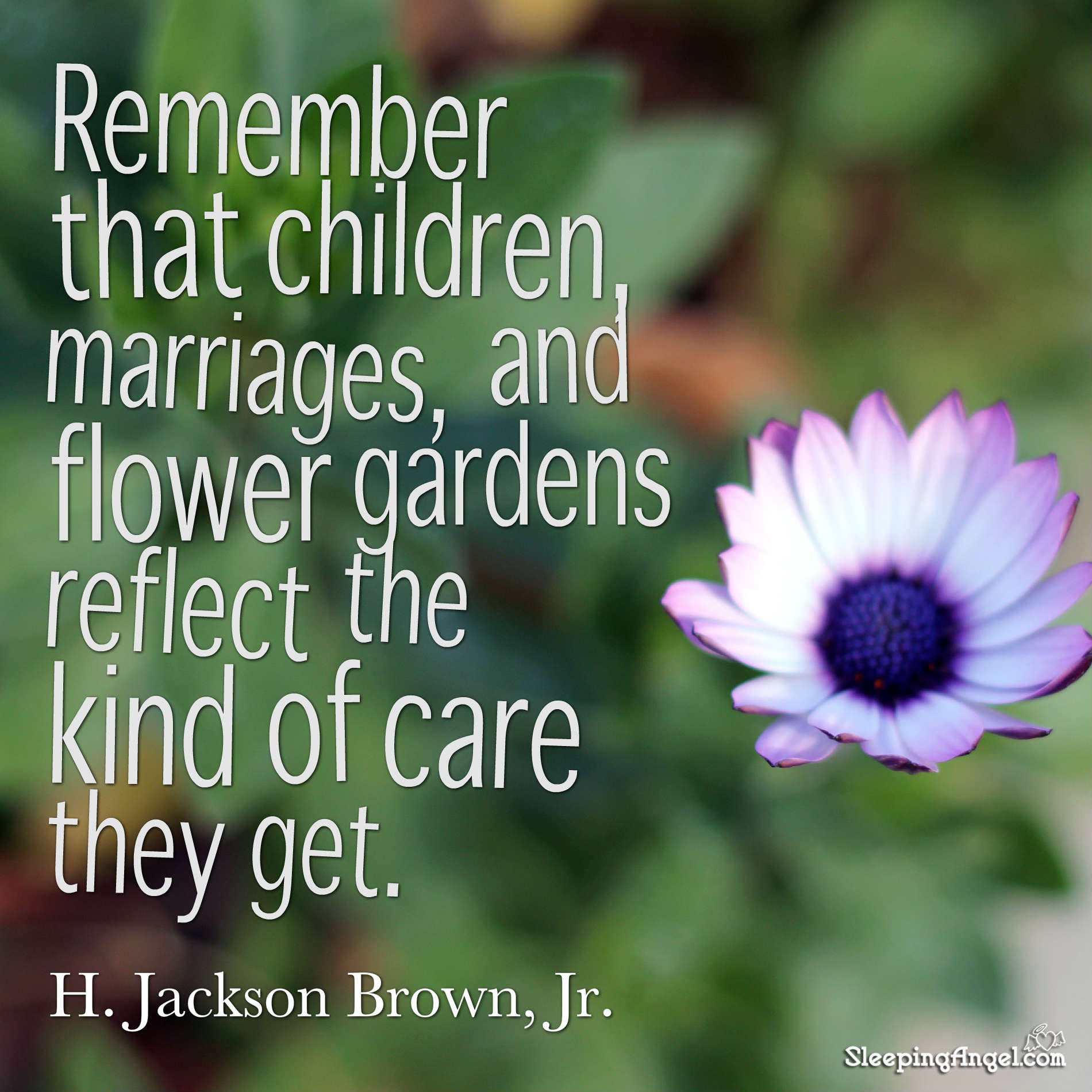 Caring Quote