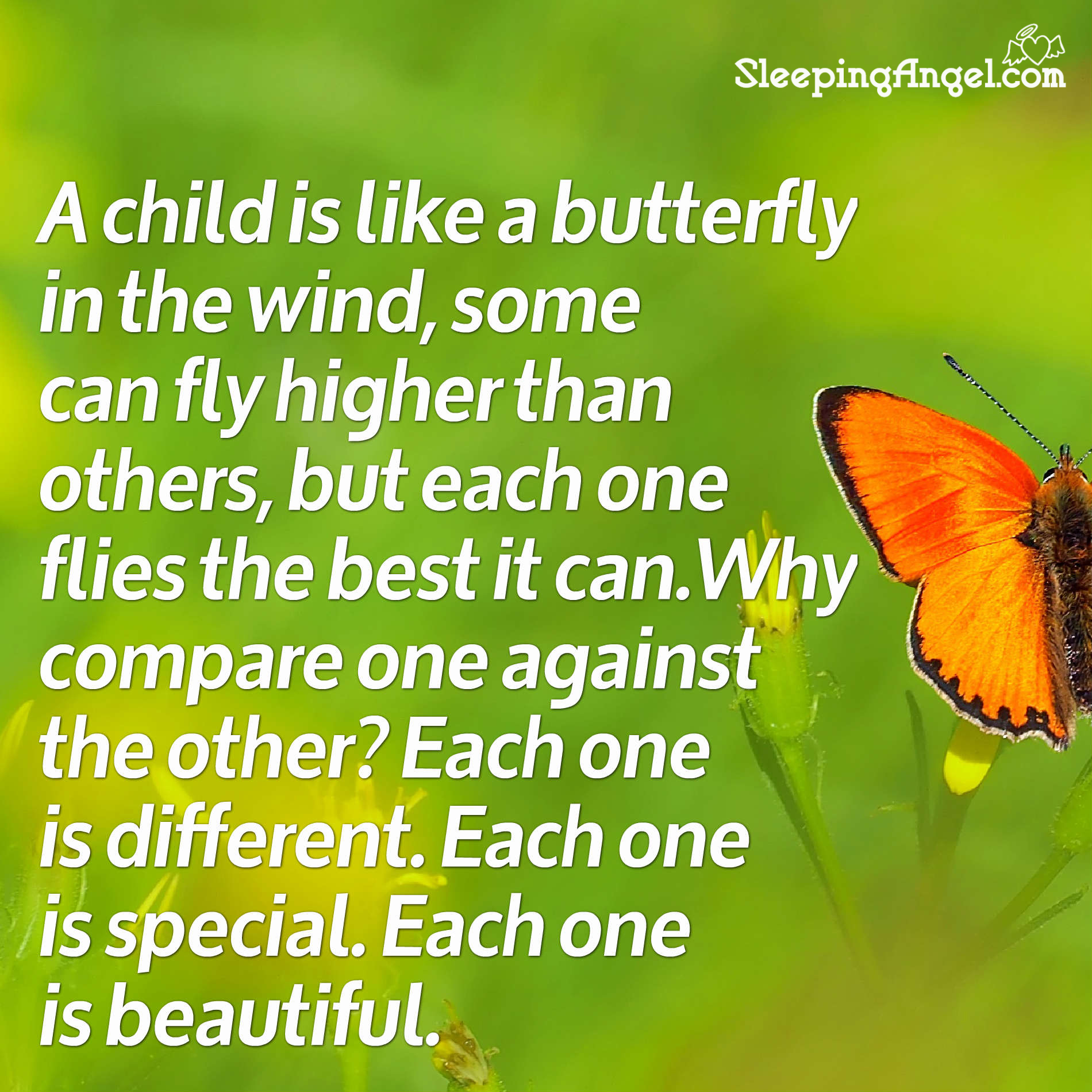 A Child is Like a Butterfly Quote