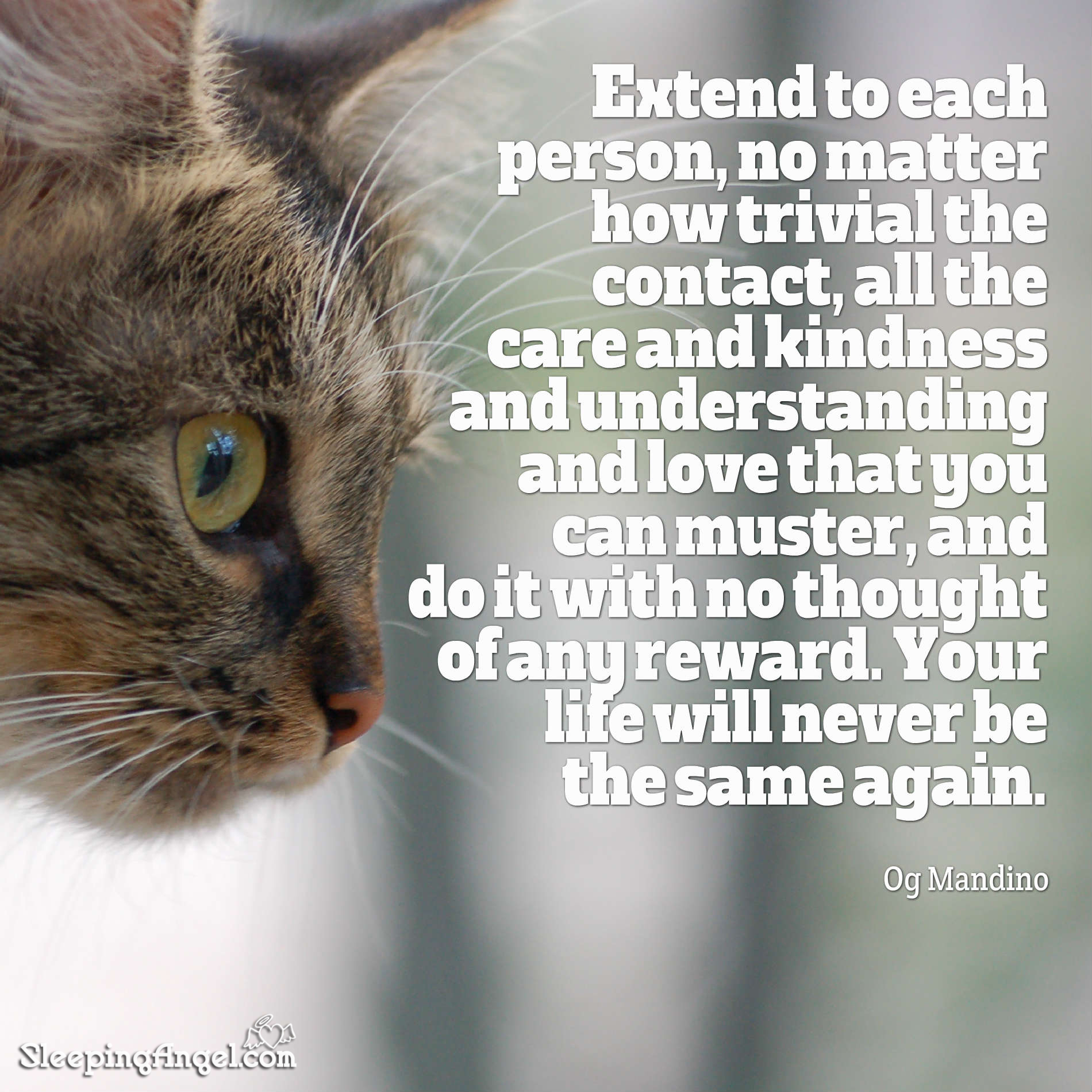 Care & Kindness Quote