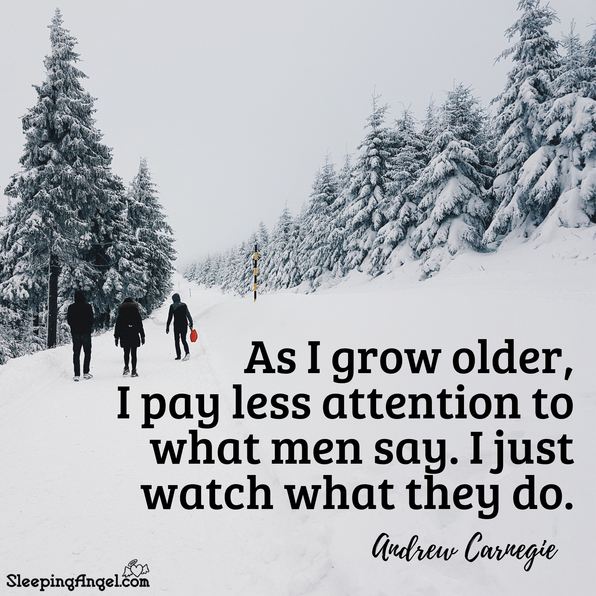 Andrew Carnegie Quote