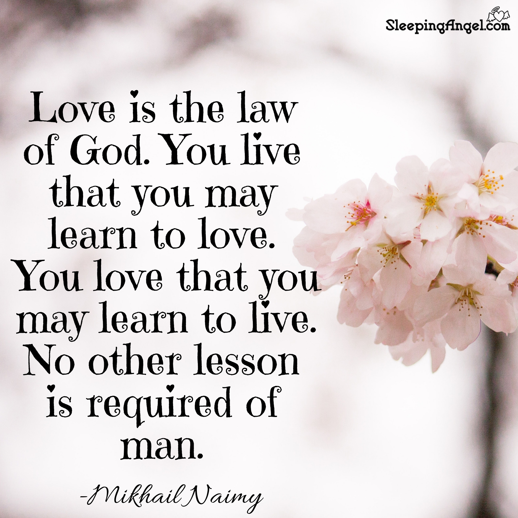 Love is the Law of God Quote
