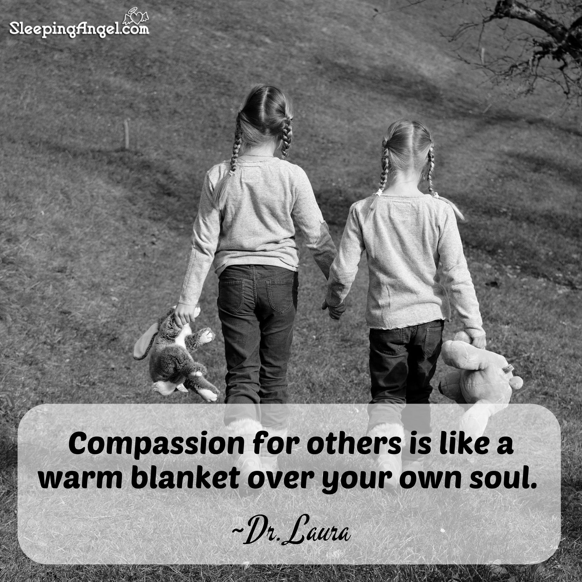 Compassion Quote