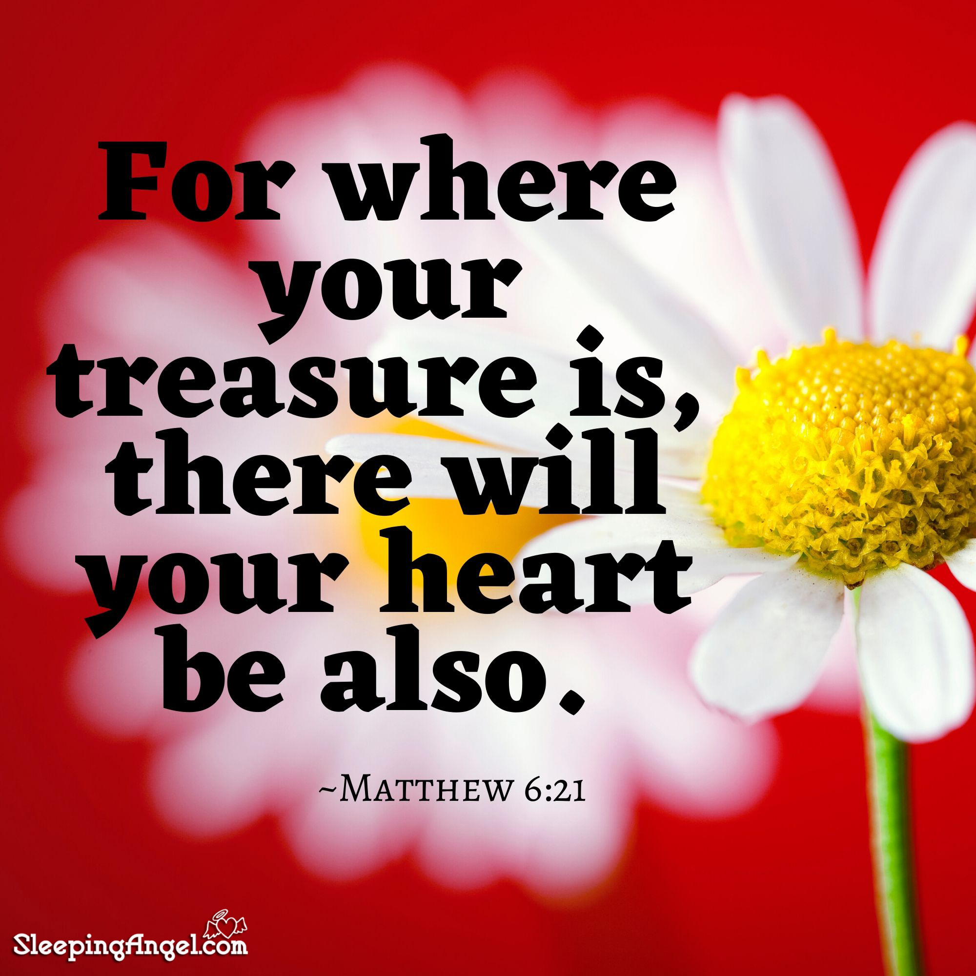 Treasure Quote