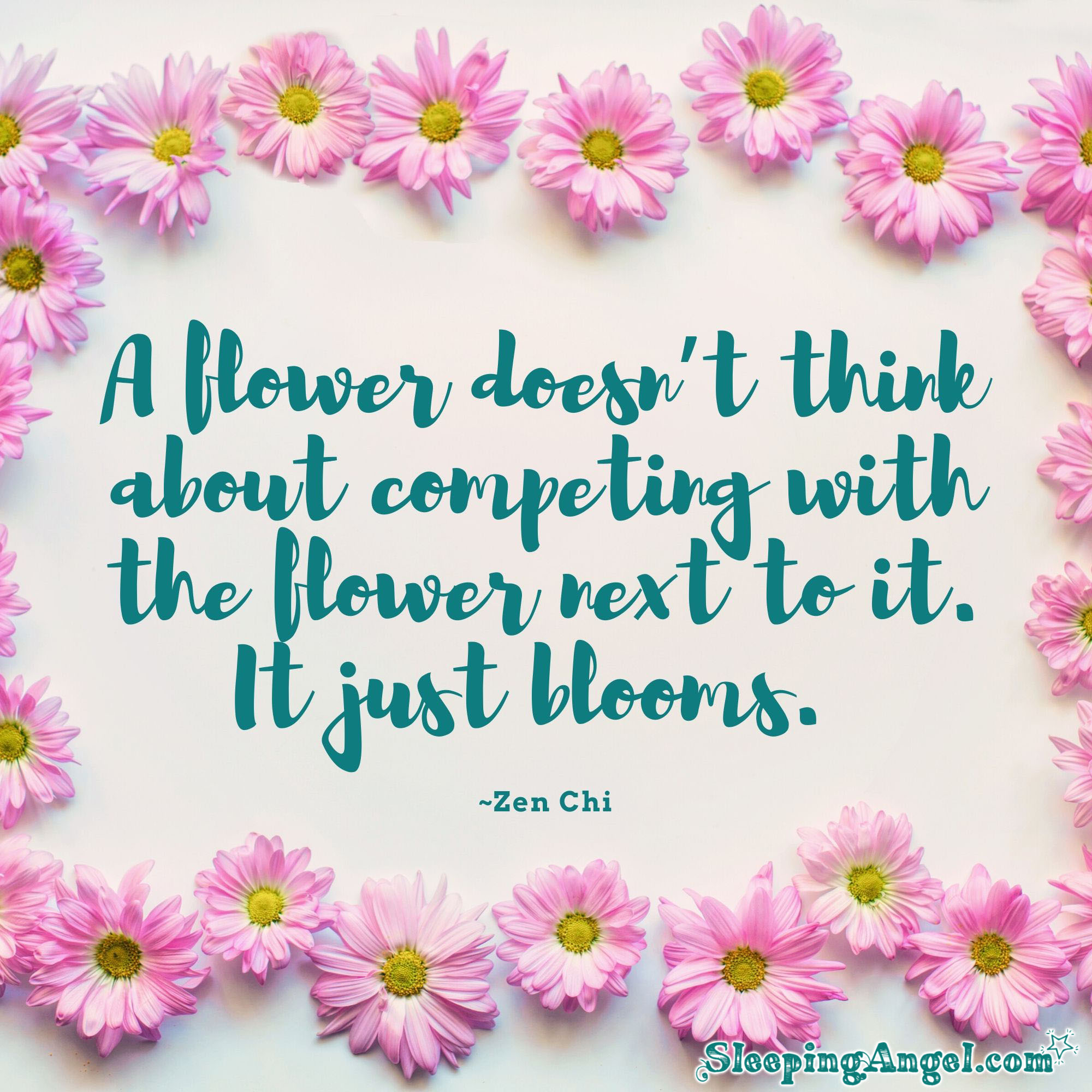 Bloom Quote