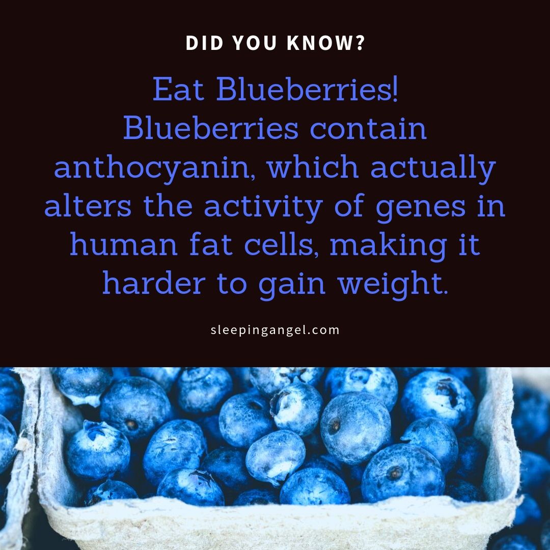 Did You Know? Blueberries