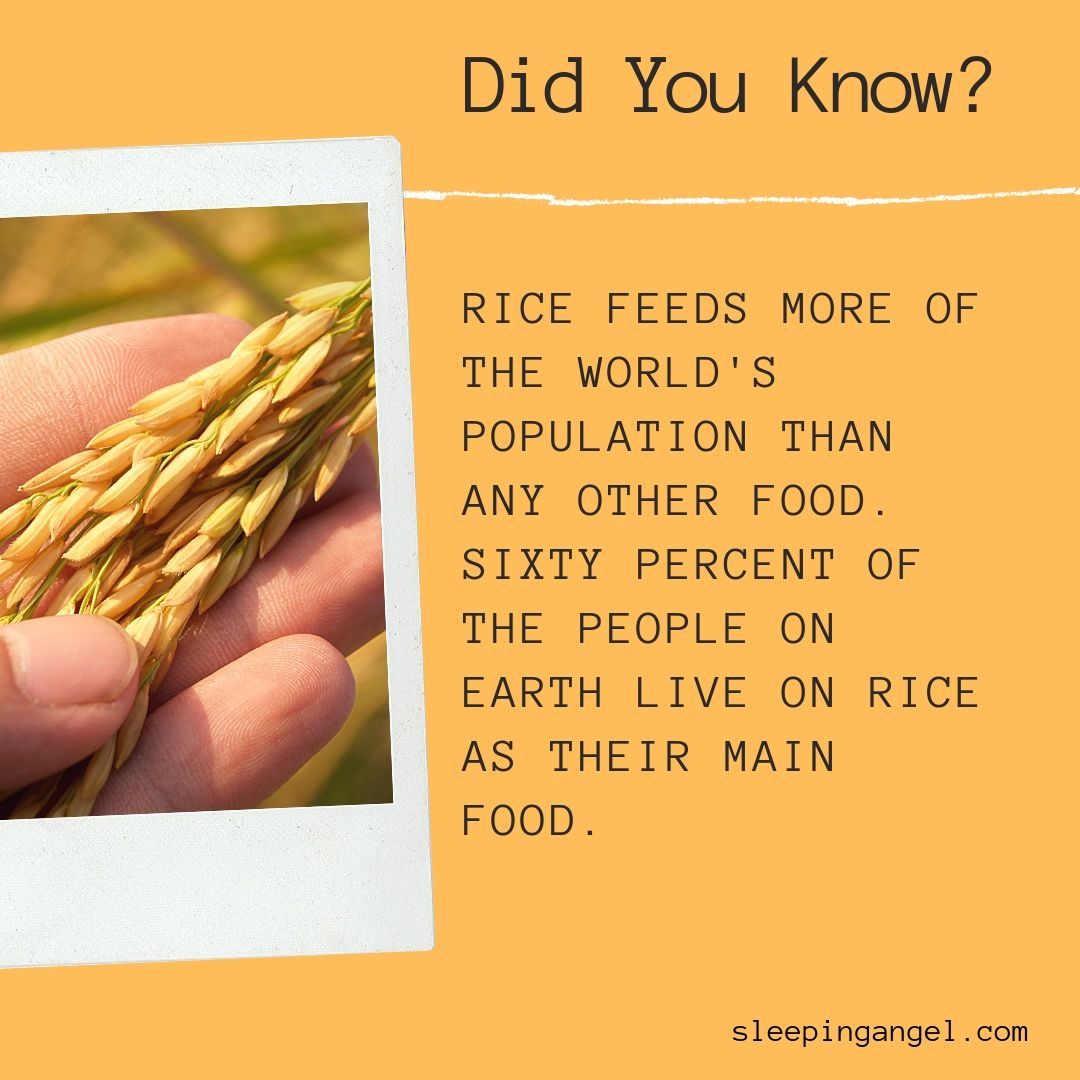 Did You Know? Rice