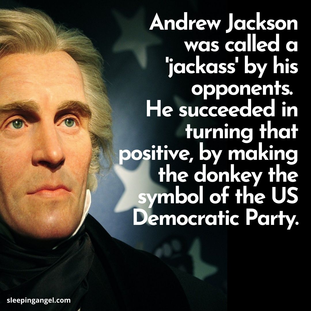 Did You Know? Andrew Jackson