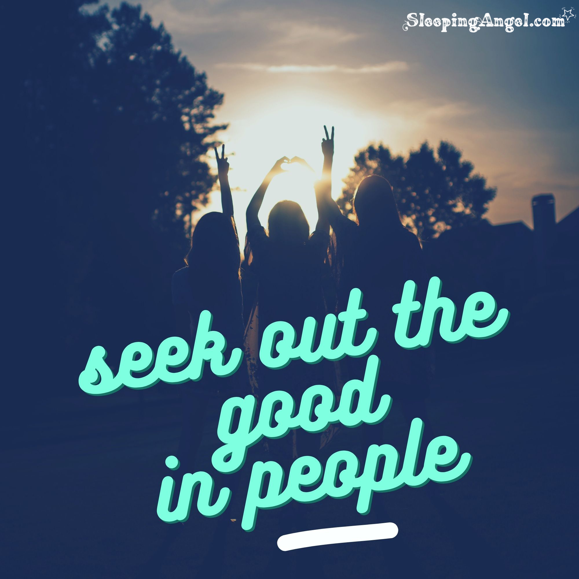 Seek Out the Good Quote