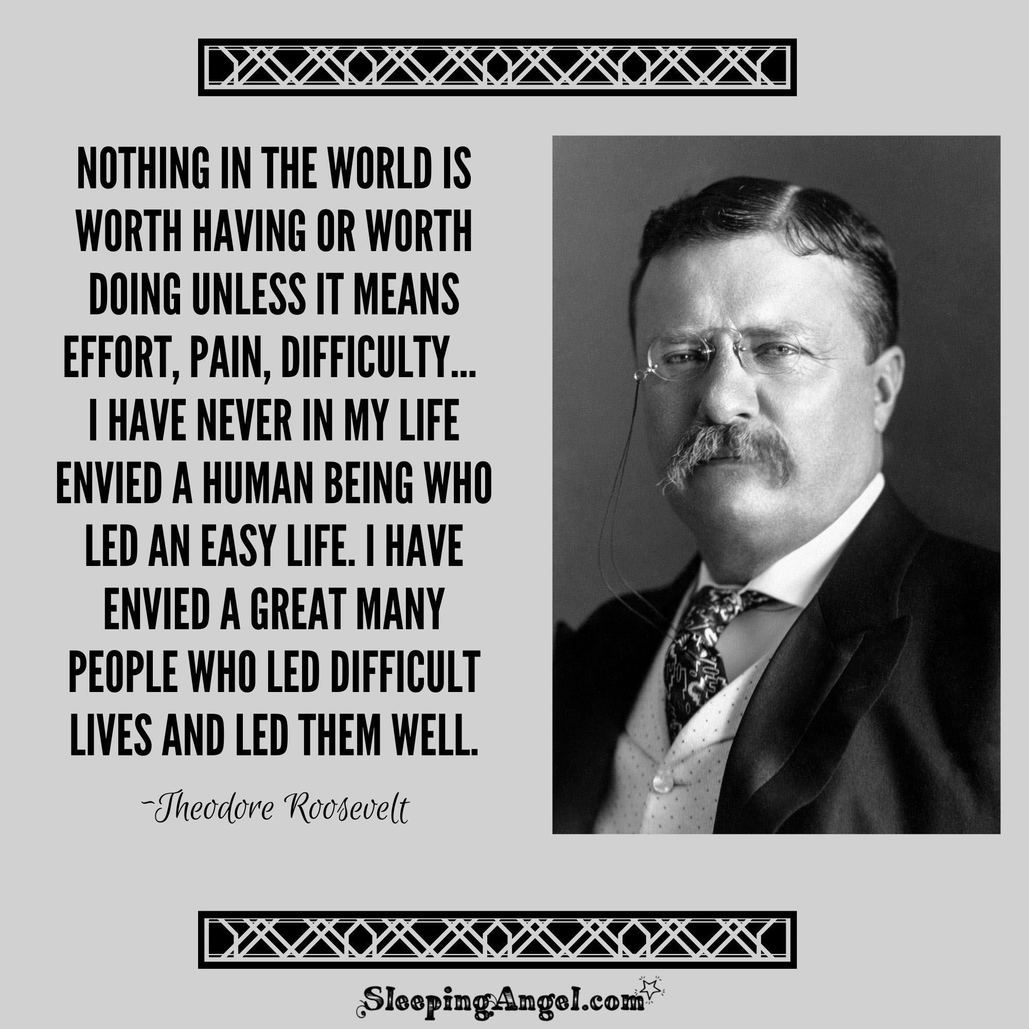 Theodore Roosevelt Quote