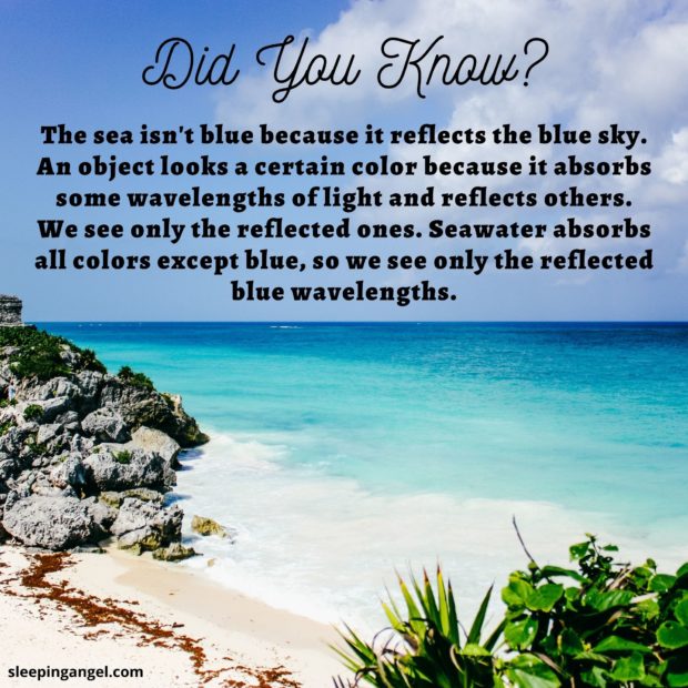 Did You Know? Blue Sea