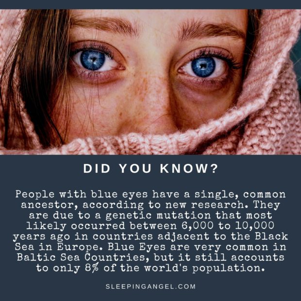 Did You Know? Blue Eyes