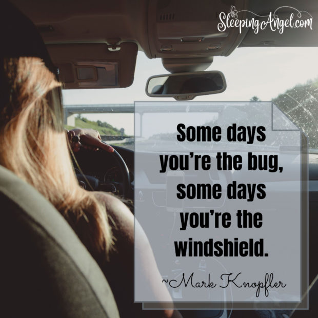 Some Days You’re the Bug Quote