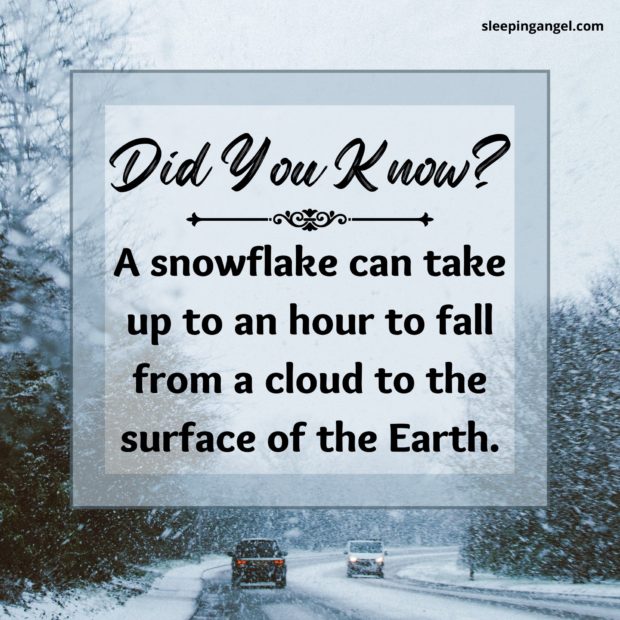 Did You Know? Snowflakes