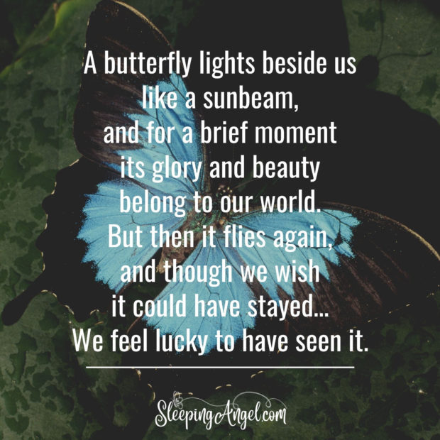 Butterfly Quote
