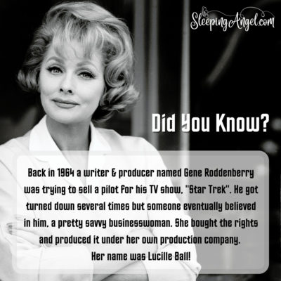 Did You Know? Huey, Dewey & Louie