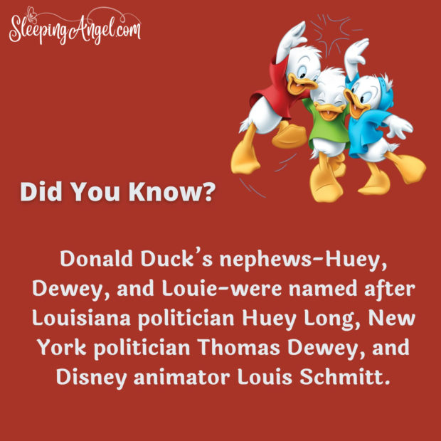 Did You Know? Huey, Dewey & Louie
