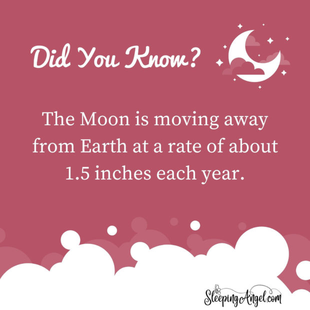 Did You Know? Moon Trivia