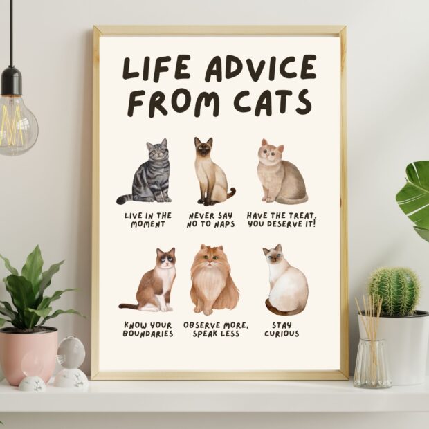 Life Advice from Cats Poster