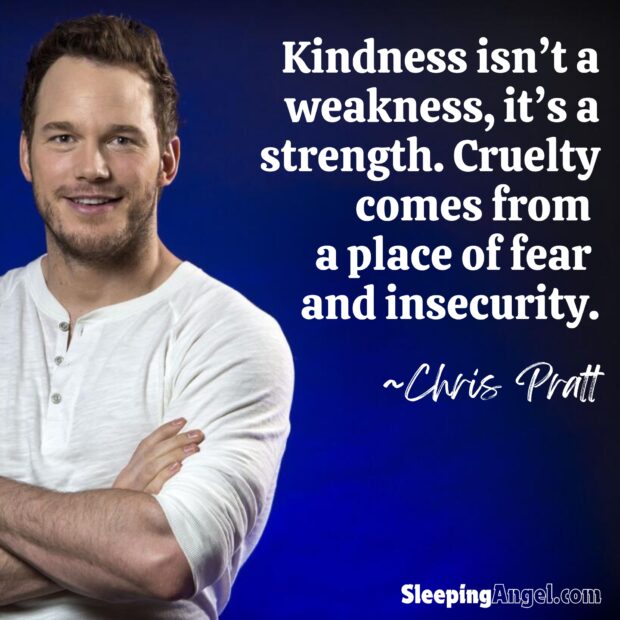 Chris Pratt Quote