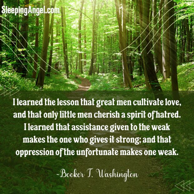 Booker Washington Quote