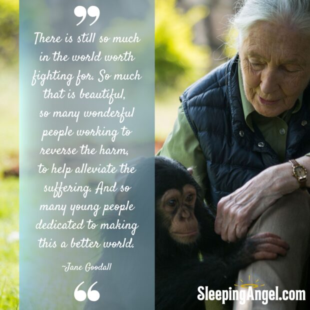 Jane Goodall Quote