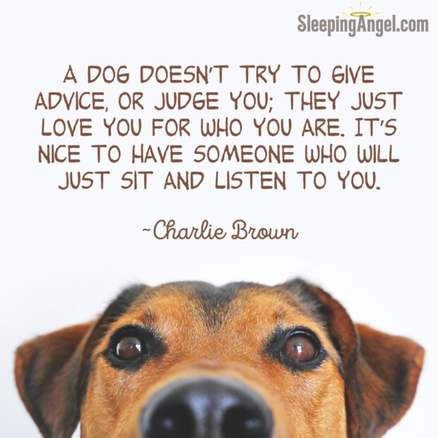 Dog Lovers Quote